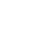 critical mass berlin